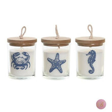 Cargar imagen en el visor de la galería, Vela cristal marino