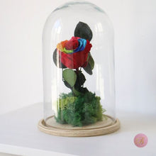 Cargar imagen en el visor de la galería, rosa eterna