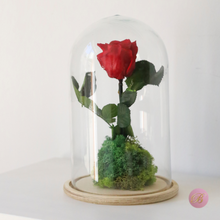 Cargar imagen en el visor de la galería, rosa roja