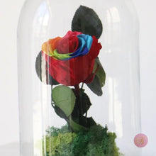 Cargar imagen en el visor de la galería, cupula de cristal