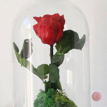 Cargar imagen en el visor de la galería, cupula de cristal