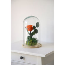 Cargar imagen en el visor de la galería, rosa preservada