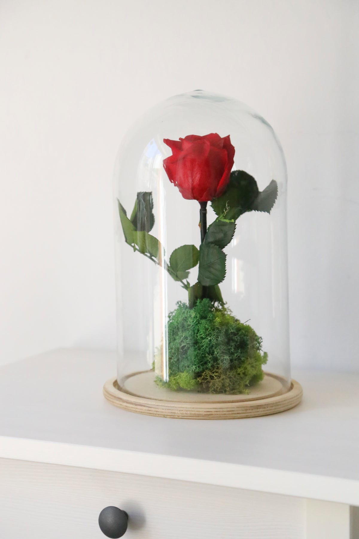 ROSAS ETERNAS