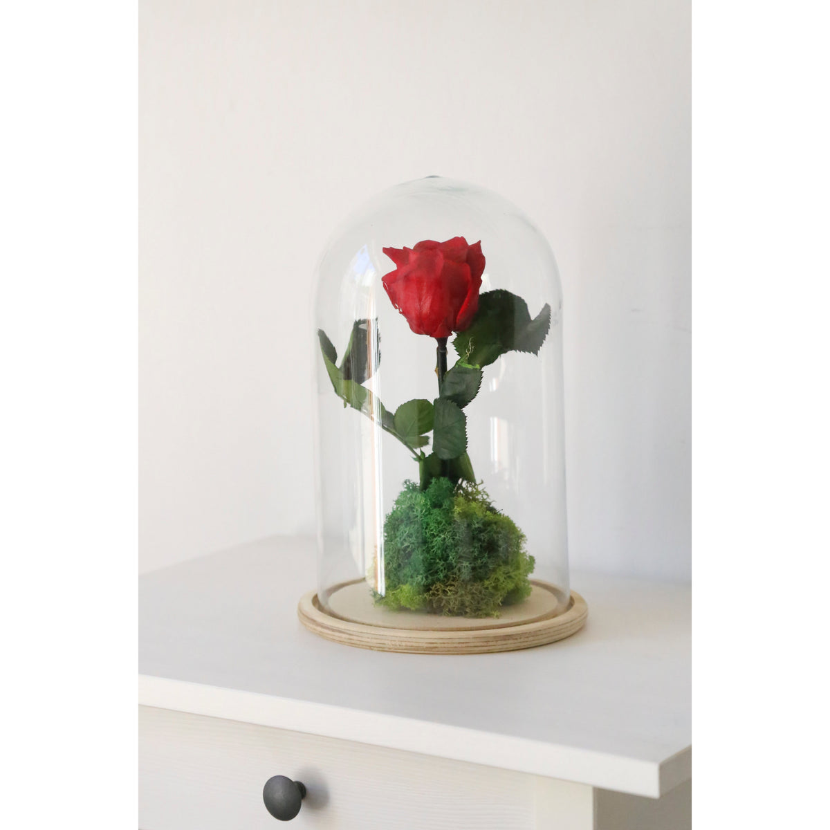 rosa eterna